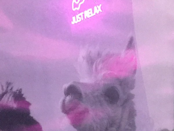 Still here, just&nbsp;sleeping…